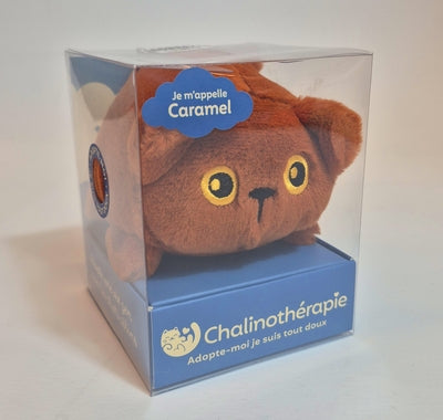 Chalinothérapie - Chat tout doux - Caramel